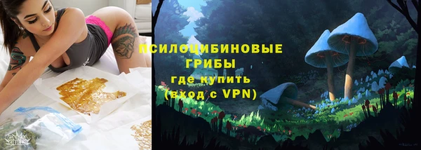 сатива Дмитриев