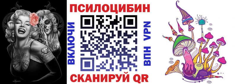 магазин    Теберда  Галлюциногенные грибы мухоморы 